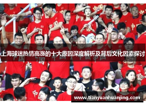 上海球迷热情高涨的十大原因深度解析及背后文化因素探讨