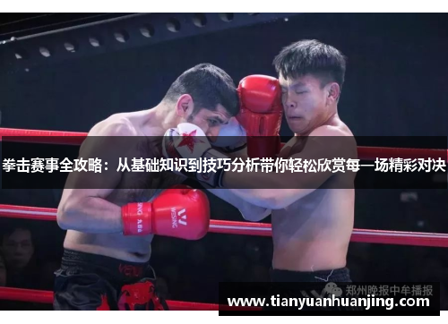 拳击赛事全攻略：从基础知识到技巧分析带你轻松欣赏每一场精彩对决