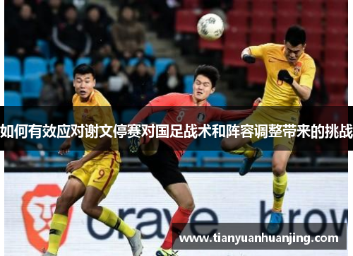如何有效应对谢文停赛对国足战术和阵容调整带来的挑战
