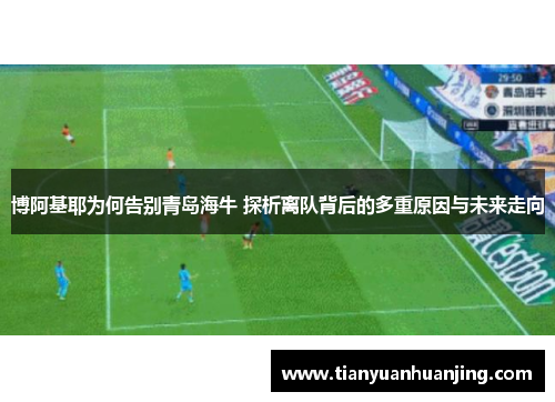 博阿基耶为何告别青岛海牛 探析离队背后的多重原因与未来走向