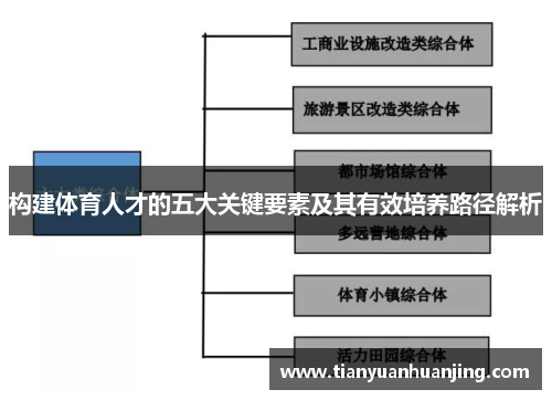 构建体育人才的五大关键要素及其有效培养路径解析